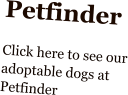 Petfinder  Click here to see our adoptable dogs at Petfinder